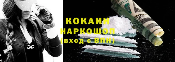 сатива Вяземский