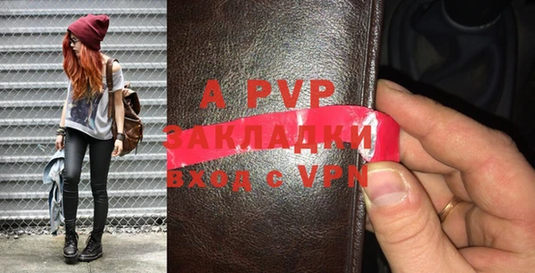сатива Вяземский