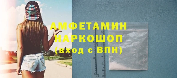 прущие грибы Вязьма
