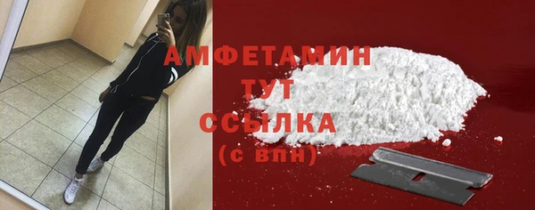 сатива Вяземский