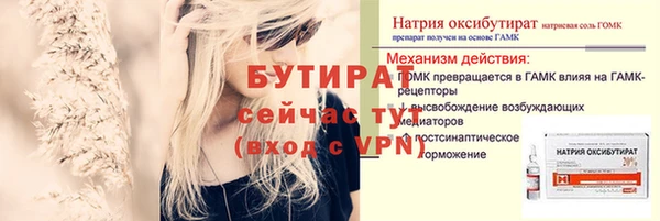 сатива Вяземский