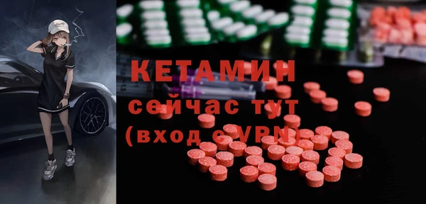 прущие грибы Вязьма