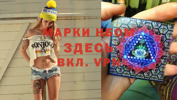 сатива Вяземский