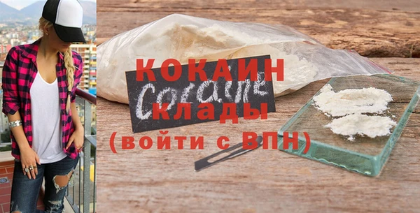 прущие грибы Вязьма
