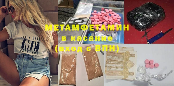 прущие грибы Вязьма