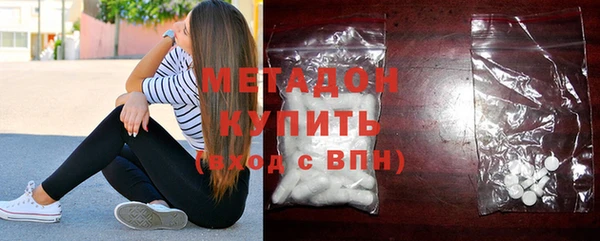 прущие грибы Вязьма