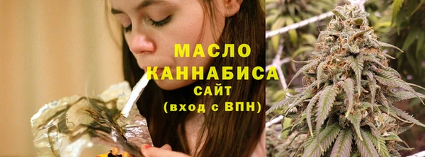 сатива Вяземский