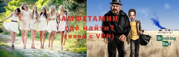 прущие грибы Вязьма