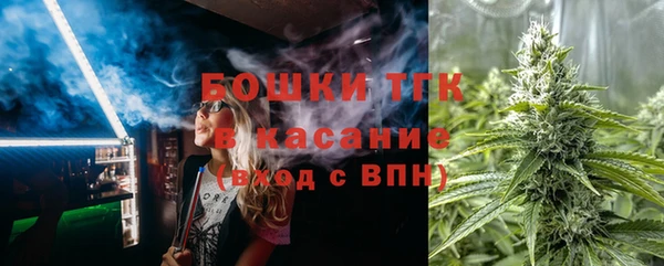 сатива Вяземский