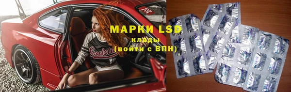 прущие грибы Вязьма